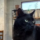 소성어린이집 | 이천 도자기 체험 내돈내산｜공방 '선호하다' 물레부터 핸드페인팅까지