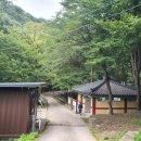 삼정야영장 화장실 네이버블로그