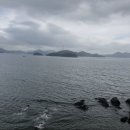 충무종합카 이미지