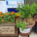 쌈지세탁소 이미지