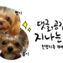 뮤토네일 이미지