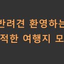 반려견 환영하는 한적한 여행지 모음