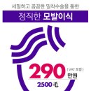 강남-290 이미지