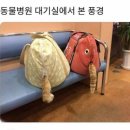 풍경동물병원 이미지