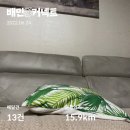 닭날선보는날 | [배민커넥트]전기자전거로 부업 뛰기 돈벌었어여!!!