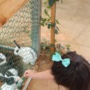 보원농장 이미지