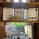 하이앤팜 이미지