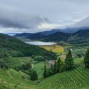 보성목욕탕 이미지