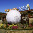 대장경테마파크 이미지