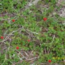 충주농장 이미지