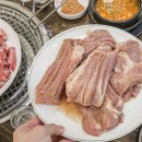 착한오리와돼지 티스토리