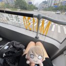 와와로 | モチロン大だい好すき　Waiwaiwai