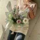 꼬모플레리 이미지