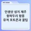 제주 항파두리 항몽 유적 | 제주 항파두리 항몽 유적 가는 법, 포토존 위치 및 관람 꿀팁 총정리