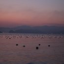 통영등대낚시공원 이미지