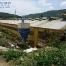 정선축사 이미지