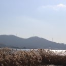 강화버스터미널 이미지