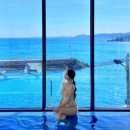 포쉬 풀빌라 이미지