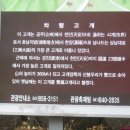 차령고개로 이미지