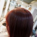 더베스트샾 이미지