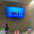 브라운도트 진하해수욕장점 이미지