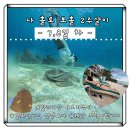 루미래쉬 | [보홀]물친자의 나 홀로 보홀 2주살이 7 , 8 일차 발리카삭 호핑 후기 선셋 비치요가 헤난 프라이빗 비치