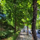 스시마고롯데노원점