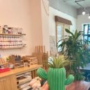 친환경 식물로 소품만들기 이미지