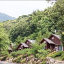 용인자연휴양림 이미지