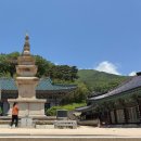 [울산 아이와 가볼만한 곳] 봄날의 숲속 힐링 여행, 석남사 나들이 후기