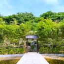 패션모텔 | 보령머드축제 기본정보와 근처숙소 3곳