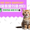 24시 라움동물의료센터 이미지