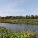 아산곡교천야영장 이미지