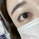 마이엘 네이버블로그