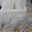 어방어린이집 이미지