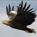 돌체민박 이미지