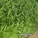 유명농장 이미지