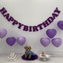 핫도그 반려견 유치원 이미지