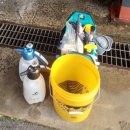 하마세차장 이미지