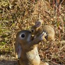 마실길 | 마실길 돔하우스 깨끗한 마실길 방문 후기