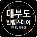 10월에 다녀온 대부도 힐링스테이 캠핑장 feat. 이와수산 대하구이포장