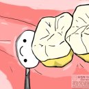 다미치과의원 이미지