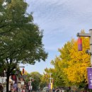 완산-44 | 가을여행 추천 전주 한옥마을 경기전 단풍 실시간