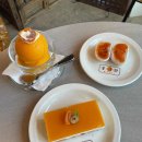 골오기네뜰 이미지