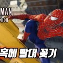 낙타 PC 이미지