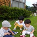 해나농장 이미지