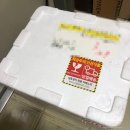 오감발달 노리짱 13-24개월 | [리뷰] 튜닝의 끝은 순정 - 카페노리 cdp미니버터크로와상 생지와 ..해동시간