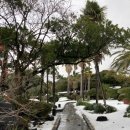 씨에스 호텔 앤 리조트 이미지