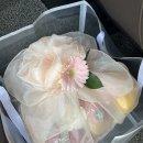 임반장과일