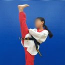 용인대 청명 태권도 네이버블로그